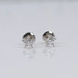 14K WG Lab Diamond  Mini Star Stud Earrings / 0.75gr / 6mm / 0.25 CTTW Lab VS / E-F