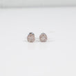 10K White Gold Diamond Flower Stud Earrings Ct Dia / 1.5gr