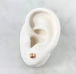 18K Rose Gold Smooth Ball Stud Earrings / 0.75gr / 7mm